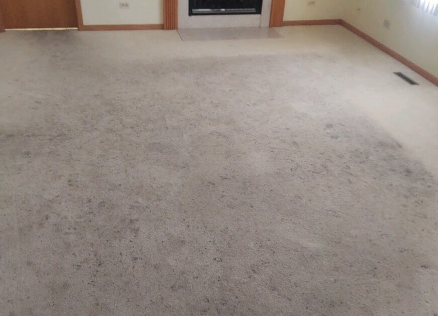 Before Carpet Cleaning e1724463701559