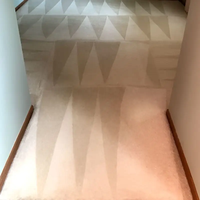 Carpet Cleaning Service