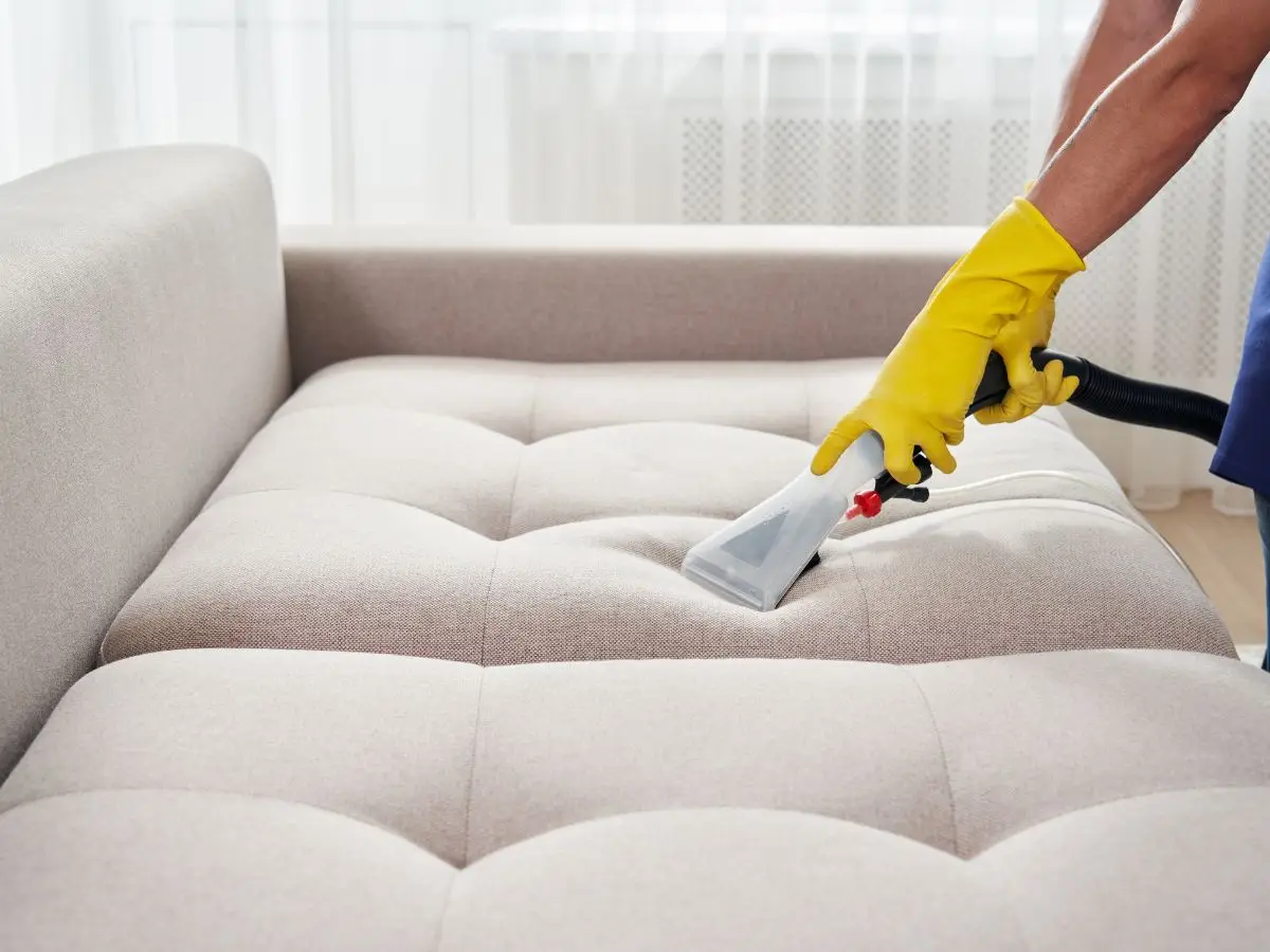 Fays Affordable Carpet Cleaning 11